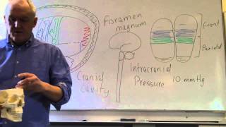 Brain and head injuries lesson 1 Introduction intracranial pressure and level of consciousness [upl. by Stephan]