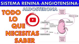 SISTEMA RENINA ANGIOTENSINA ALDOSTERONA ¡FÁCIL Y SENCILLO [upl. by Emmons]