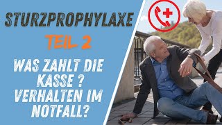 Sturzprophylaxe Teil2  Wohnraumanpassung Hilfsmittel Sofortmaßnahmen [upl. by Llertnor]