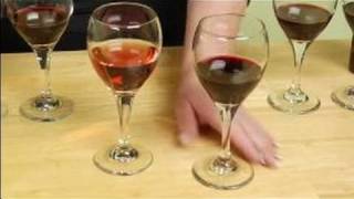 Types of Red Wine  Zinfandel Wine Facts [upl. by Krall]