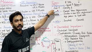 LipoproteinDefinitio StructureComposition  Biomedical Importance Lipoprotein Part1 [upl. by Paschasia]