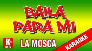 🎤 Karaoke BAILA PARA MI La Mosca karaokelatino rocknacional [upl. by Sina]