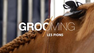 GROOMING Des pions parfaits  🐴 [upl. by Etterraj]