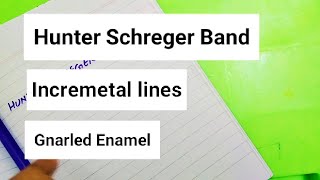 Hunter Schreger Band Incremental lines Gnarled Enamel [upl. by Celestyna]