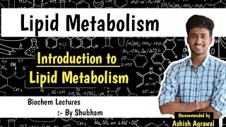 Introduction  Lipid Metabolism  Biochemistry Lectures [upl. by Marlena813]