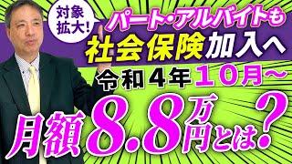 【必見】社会保険適用拡大で私はどうなる？扶養から外れるの？月額88万円を徹底解説！【 社会保険適用拡大 2022年10月 】 [upl. by Uhn]