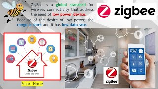 Zigbee Part 1 Overview of the 1st Low Power Mesh Network ZigBee IEEE 802154 for IoT Application [upl. by Nedrah]