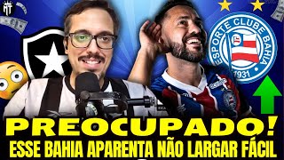 TORCEDOR DO BOTAFOGO PREOCUPADO COM O BAHIA PODE APOSTAR BAHIA CAMPEÃƒO NOS PRÃ“XIMOS ANOS [upl. by Delfine]