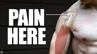 Biceps Tendinopathy  Tendinitis  Anterior Shoulder Pain Rehab Education amp Exercises [upl. by Ennagrom]