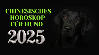 Hund  2025 Chinesisches Horoskop Das Jahr der grünen Schlange [upl. by Arral945]