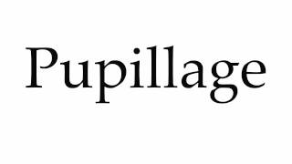 How to Pronounce Pupillage [upl. by Elmer]