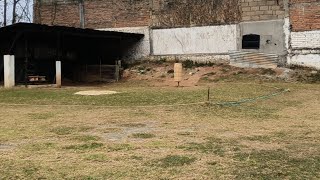 Khasi Hills Archery Sports Institute1st Round 1032024 [upl. by Roderick361]