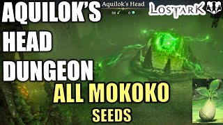 AQUILOKS HEAD DUNGEON  ALL MOKOKO SEEDS amp COMPLETION  LOST ARK [upl. by Broadbent]