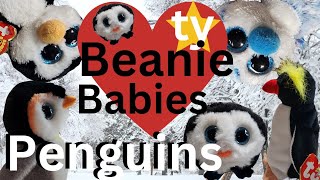 ty Beanie Baby and Beanie Boo Penguin Collection [upl. by Towney310]