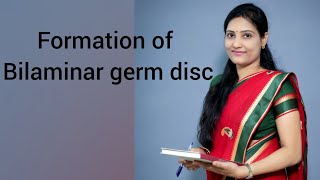 Formation of bilaminar germ disc and development of Blastocyst [upl. by Ailices]