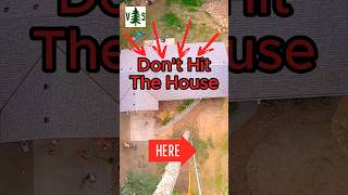 Dont Hit The House arborist dangerous [upl. by Haisa]