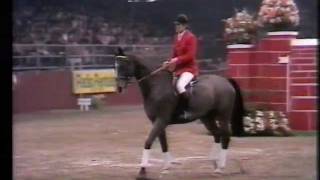 Gerd Wiltfang  Roman  226 m at Olympia 1980 [upl. by Kcyrred]