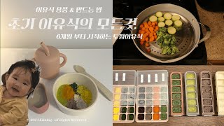 이것만 사세요 초기 이유식의 모든것 👶🏻🥣  토핑 이유식 준비물 amp 레시피 [upl. by Giraud]