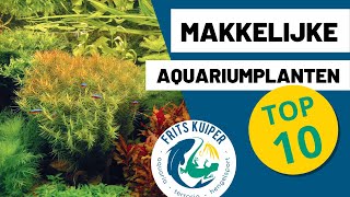 Makkelijke planten in je aquarium TOP 10  FritsKuiperTV [upl. by Singband]