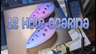 12 Hole Ocarina Time lapse  Cookiecad Unicorn on Elegoo Neptune 3 Pro with OctoprintOctolapse [upl. by Roel238]