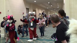 Megaplex 2019 Late Night Fursuit Parade [upl. by Ylrae]