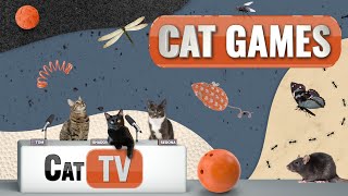 Cat Games  Ultimate Cat TV Compilation Vol 13  2 HOURS 🐱📺🎈🦜🐜🐭🧵🐝🐞🦋🦎 [upl. by Yracaz158]