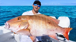 Florida Keys fishing for MASSIVE Mutton Snapper Catch amp Cook [upl. by Anitnauq]