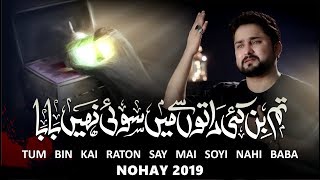 Nohay 2019  Tum Bin Kai Raaton Se Main Soye Nahi Baba  Syed Raza Abbas Zaidi  Bibi Sakina Noha [upl. by Service986]