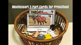 Montessori 3 Part Cards I Montessori 3 Period Lesson I How to use in Preschool [upl. by Artinek282]