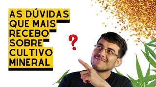 DICAS SOBRE CULTIVO MINERAL  respondendo os comentários [upl. by Uchida]