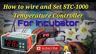 How to wire and set STC1000 thermostasttemperature controller for incubator tutorial [upl. by Stewardson745]