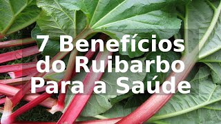 7 Benefícios do Ruibarbo Para a Saúde [upl. by Ahsaeym573]