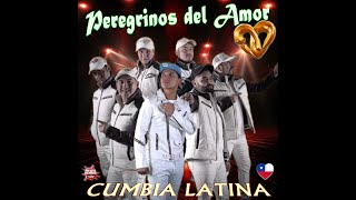 PEREGRINOS DEL AMOR  PROMOCIONALES MIX 2024 [upl. by Atteuqaj]