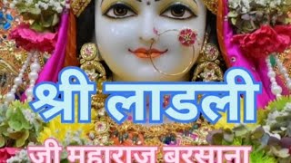 Radhe Krishna shreekrishna barsana ladli ji ke darshan vindavandham jay ladli ji sarkar [upl. by Stulin]