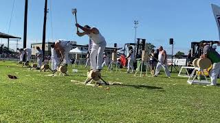 300mm underhand and standing block teams at cairns show 2024 woodchopping lumberjacks cairns [upl. by Parthena901]