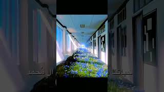 🌼🌻فرولاتميارهه محرمالحرام علي اكسبلور [upl. by Tabitha150]