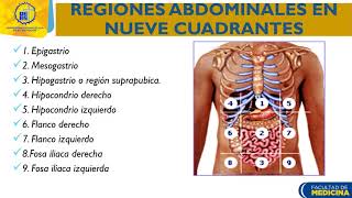 Examen físico de abdomen I Anatomía de abdomen Dra Angélica de Rodríguez [upl. by Cibis416]