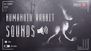 Humanoid Rabbit Sounds  Звуки Кролика Гуманоида  Ужасы Тревора Хендерсона [upl. by Las960]