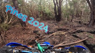 Another Quick Lap through the Pines  JULY 2024  WR250R Enduro Adventures [upl. by Frasco417]