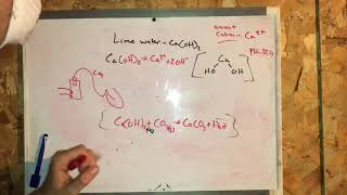 Carbonation process [upl. by Nyleahs]