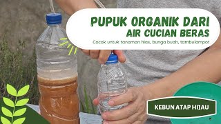 cara mudah membuat pupuk organik cair POC dgn hasil maksimal [upl. by Gerri]