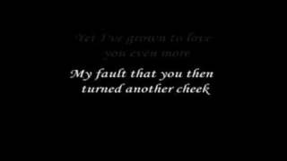 Sonata Arctica  Paid in full lyrics [upl. by Yerffoeg]