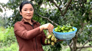 Picked Some Calamondin Time for a Refreshing Coconut Drink and Sweet Jam  Như Ý Countryside Life [upl. by Benildis982]