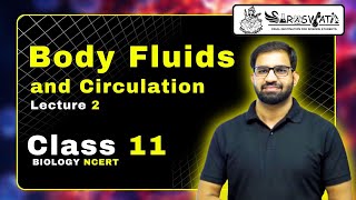 ABO Blood Group System Body Fluids amp Circulation Blood Grouping Class 11 NEET part  2 [upl. by Eliezer]