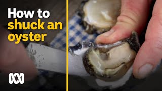 How to shuck an oyster with Paul West  Food amp Recipes  ABC Australia [upl. by Alleda263]