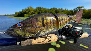 Fishing a Bass Lure for River MONSTERS [upl. by Gussman576]