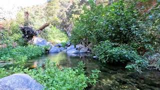 Chantry Flats Oct 2024 First Water Trail Hike timewrap [upl. by Nana868]