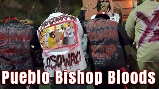 Pueblo Bishop Bloods  The Run Down [upl. by Petrine]