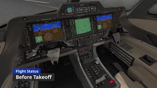 Aerobask Phenom 300 Tutorial  XPlane 11  VATSIM EN [upl. by Annaor]