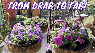 Planting Petunias in Hanging Baskets [upl. by Bryan700]